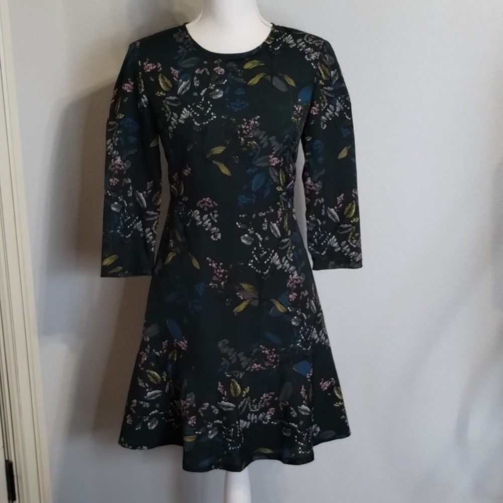 Banana Republic Women's Dress Size 0 Green Fit and Flare Mid Sleeve Floral